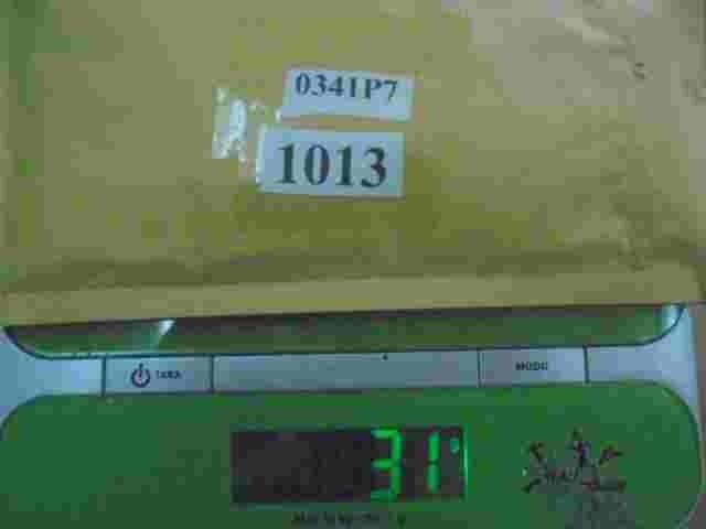 Semental Peugeot Citroen 0341P7 0341.P7