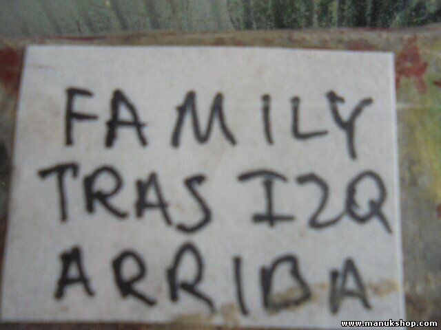 Bisagra de la puerta trasera izquierda arriba SsangYong Musso Korando (K4)