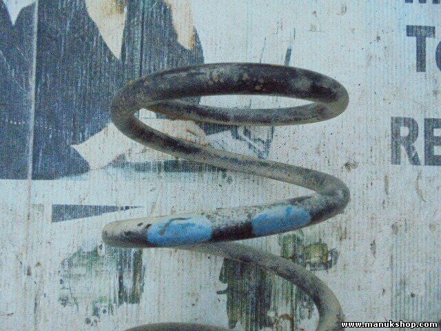 Muelles Nissan Terrano Patrol X-Trail King Cab Navara