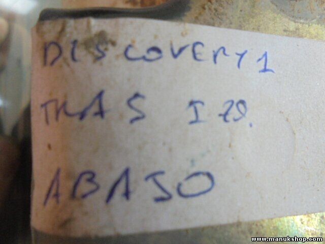 Bisagra de la puerta trasera izquierda abajo Land Rover Discovery I LJ, LG 2.0