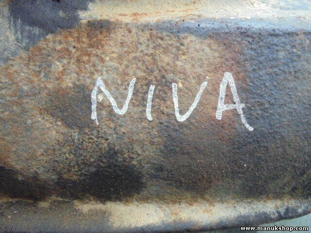 Grupo Diferencial Trasero Lada Niva 1.6 2131,2121,2103 piñón 41/10 21032402010