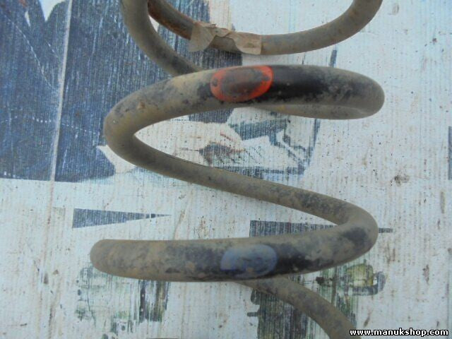 Muelles Nissan Terrano Patrol X-Trail King Cab Navara