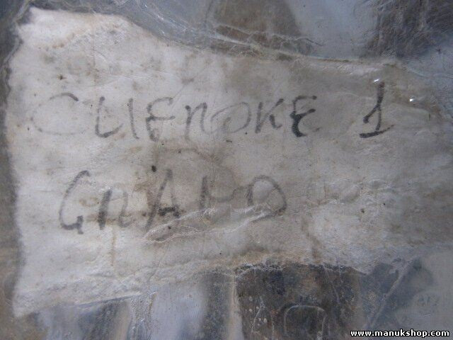 Muelles Jeep Grand Cherokee I 52088379 61368