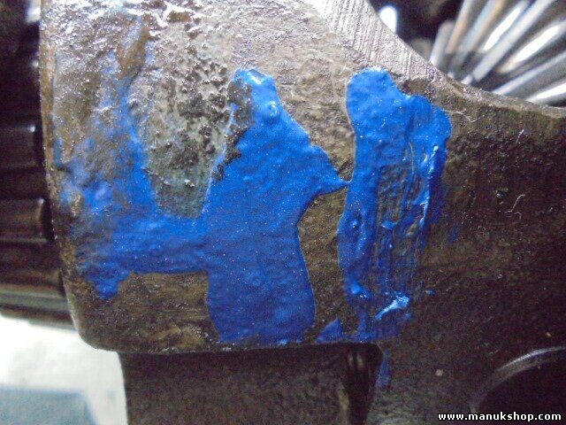 Grupo Diferencial Trasero Tata Safari 2.2 2004 0134X 3F101 piñón 41 SIL-11