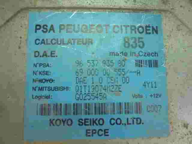 Controllo servosterzo Citroen Peugeot 9653783580 6900000555 Q1T19074M2ZE