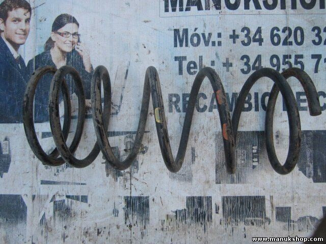 Muelles Mitsubishi Pajero Montero