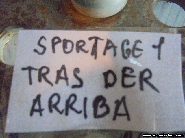 Bisagra de la puerta trasera derecha arriba KIA Sportage JE 104 KW, 141 PS