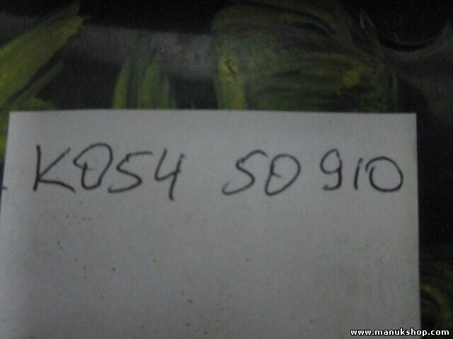 Entrada de aire frontal capó Kia Sportage RE 1997-2004 K05450910 K054 50910