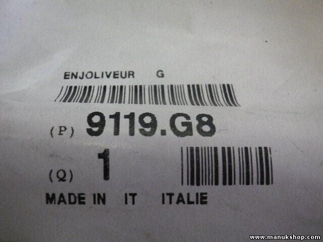 Citroen Peugeot 9119.G8 9119G8