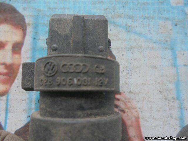 Sensor Temperatura Audi VW Volkswagen Golf Seat Skoda 12V 028906081 028 906 081