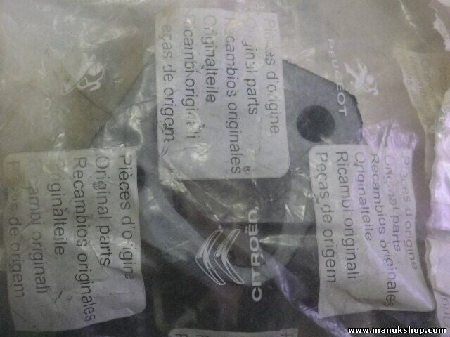 Titular Citroen Peugeot 1755 53 175553