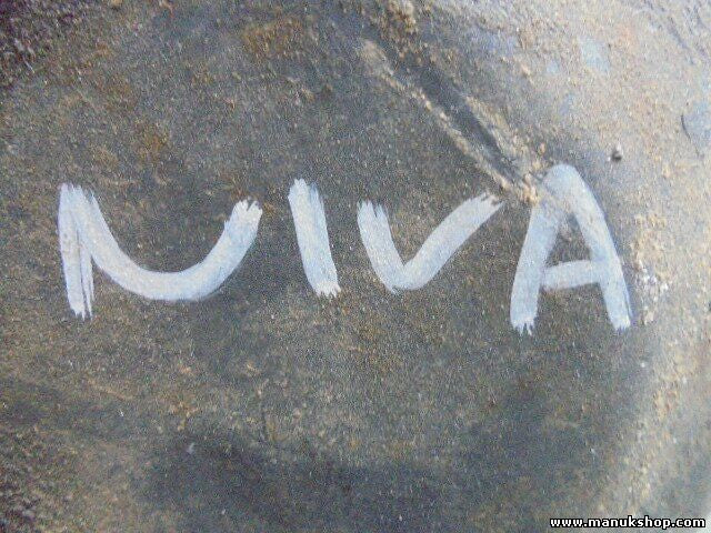 Grupo Diferencial Delantero Lada Niva 2131,2121,2103 piñón 41/10 2121-2302010-10