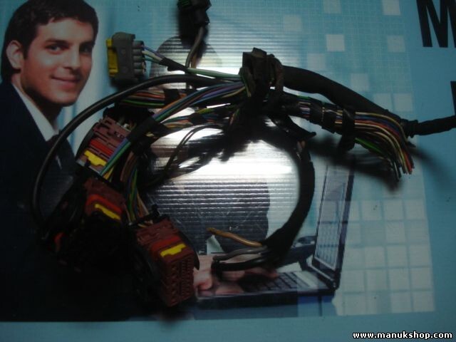 Conector enchufe Peugeot Citroen BSM- L01-00 L02-00 L03-00 L04-00 L06-00 L11-00