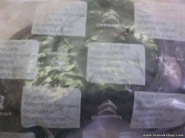 Entrada de caché tube  Citroen Peugeot 9241 A8 9241A8