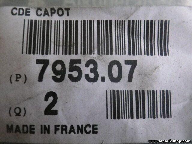 Citroen Peugeot 795307 7953.07