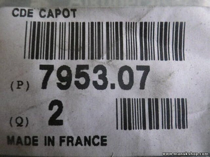Citroen Peugeot 795307 7953.07