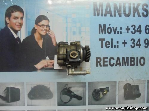 Bomba de dirección Nissan Terrano R20 Ford Maverick 491102X800 49110-2X800