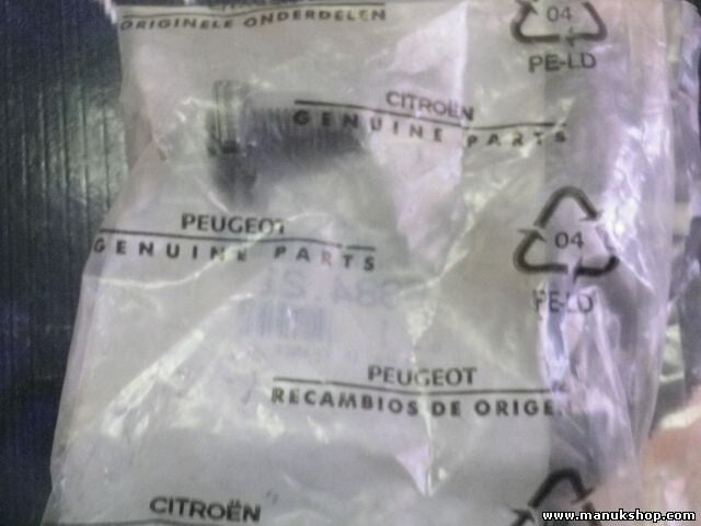 Citroen Peugeot 698421 6984.21