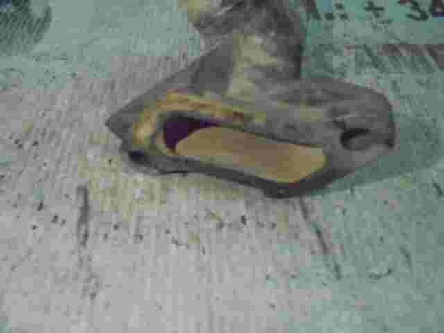 El agua del tubo de la bomba Lada Niva 21011303014 2101-1303014