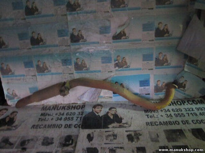 Escape Nissan-Terrano 2.7 TD 4x4 02/93-10/99 Ford-Maverick 2.7 TD 4x4 200500F050