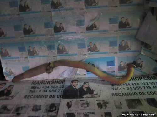 Escape Nissan-Terrano 2.7 TD 4x4 02/93-10/99 Ford-Maverick 2.7 TD 4x4 200500F050