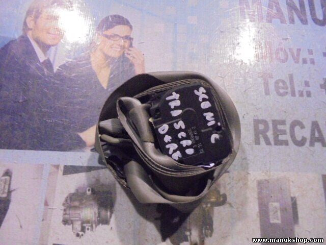Cinturón de seguridad trasero derecho Renault Scenic I 1.9 DCi RX4 33000381E