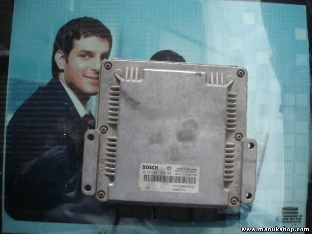 Centralita del motor  Renault Laguna Megane Scenic I 1.9 2000 HOM8200039569