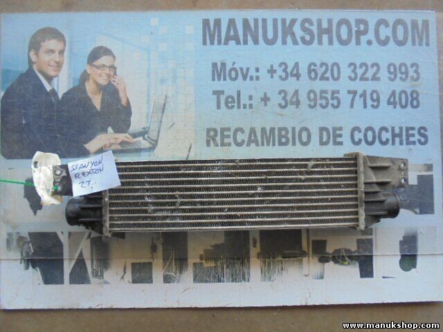 Radiador de intercooler Ssangyong Rexton 2371008050 23710-08050 23710 08050 Y220