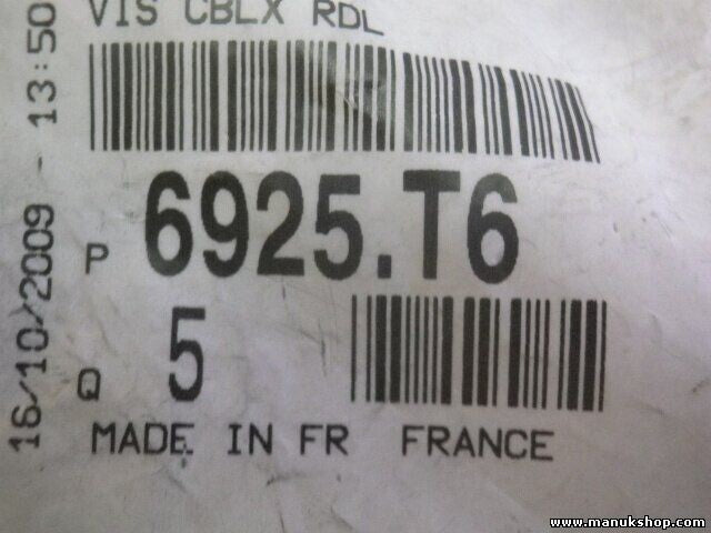 Tornillo Citroen Peugeot 6925T6 6925.T6