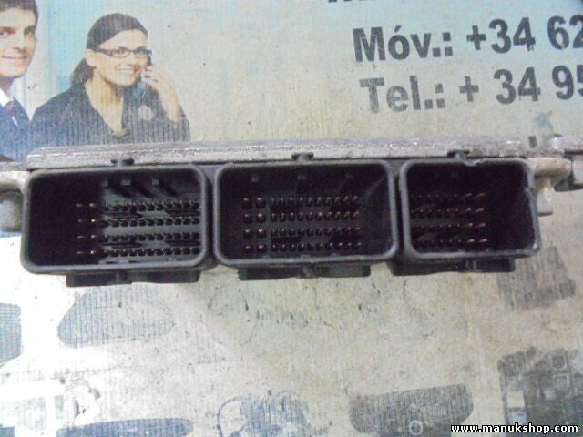 Centralita del motor Renault Espace IV 1.9 dCi BOSCH 0281011324 8200309316