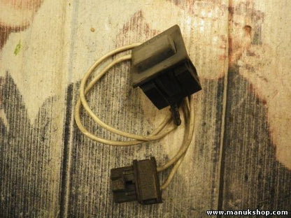 Interruptor Luneta Trasera Desempañador Chevrolet Blazer S10 15552864