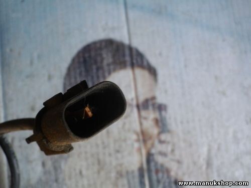 Sensor velocidad revoluciones de la rueda Hyundai Terracan 59810H1050