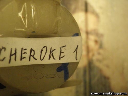 Bomba limpia parabrisas limpiaparabrisas Jeep Grand Cherokee I ZJ