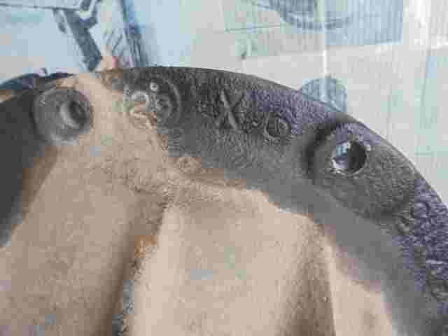 Grupo Diferencial Trasero  Suzuki Jimny SN (FJ) 1.3 KN15 X6 piñón 43/11