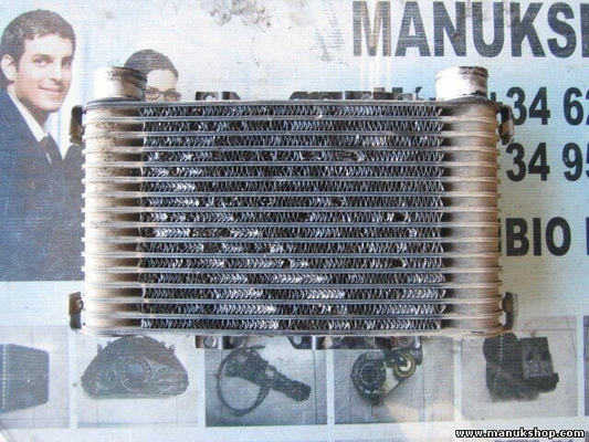 Radiador de intercooler Mitsubishi L200 2.5TD 4WD MR552982 1271001500 DENSO
