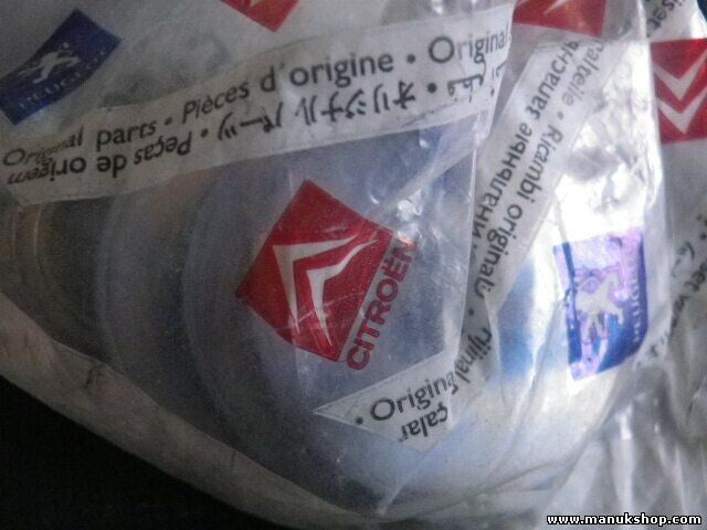 excéntrico disco Peugeot 406 5169.04 516904