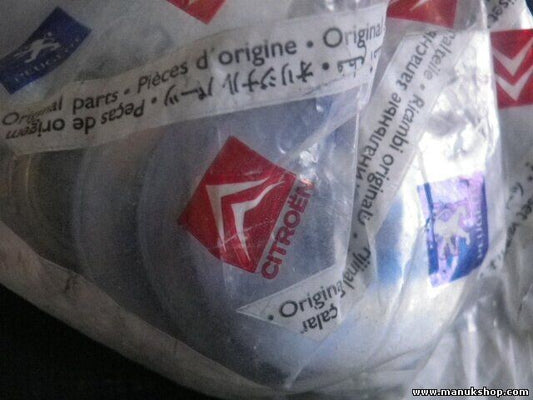 excéntrico disco Peugeot 406 5169.04 516904