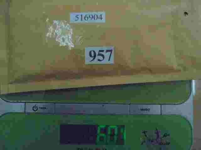 excéntrico disco Peugeot 406 5169.04 516904