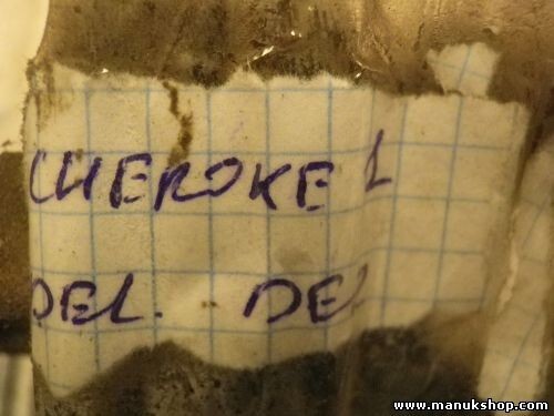 Freno de puerta delantera derecha Jeep Cherokee 180 PS 10149168 10 14 9168