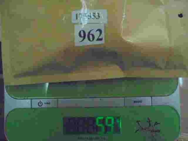 Titular Citroen Peugeot 1755 53 175553