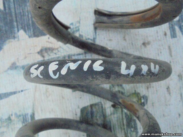 Muelles Renault Scenic I 1.9 DCi XX4