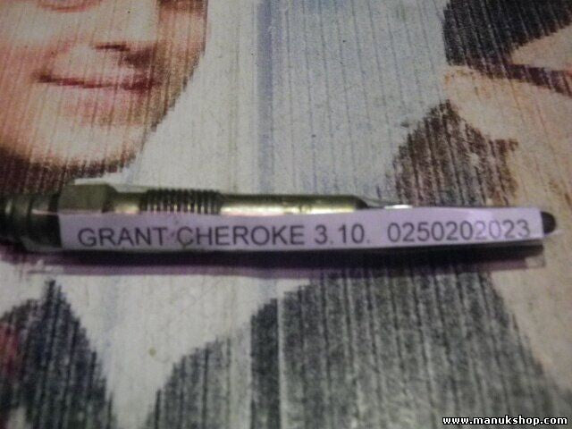 Bujía de precalentamiento Jeep Grand Cherokee 3.10 0250202023 0 250 202 023