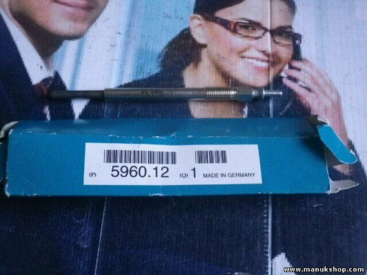 Citroen Peugeot 5960.12 596012