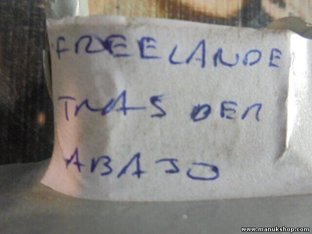 Bisagra de la puerta trasera derecha abajo Land Rover Freelander LN 1.8i 16V