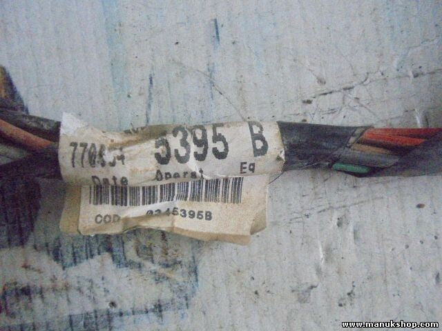 Resistencia calentamiento cable Renault Kangoo 770104 5395 B