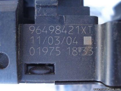 mando botonera elevalunas Citroen Peugeot 96498421XT 019751833 01975 1833