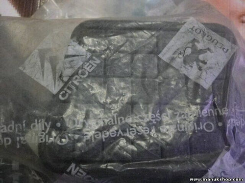 PEDAL VESTIDOR Citroen Peugeot 450407 4504.07