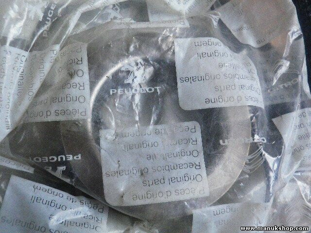 Citroen Peugeot 515409 5154 09