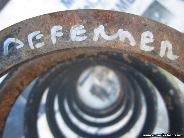 Muelles Land Rover Freelander