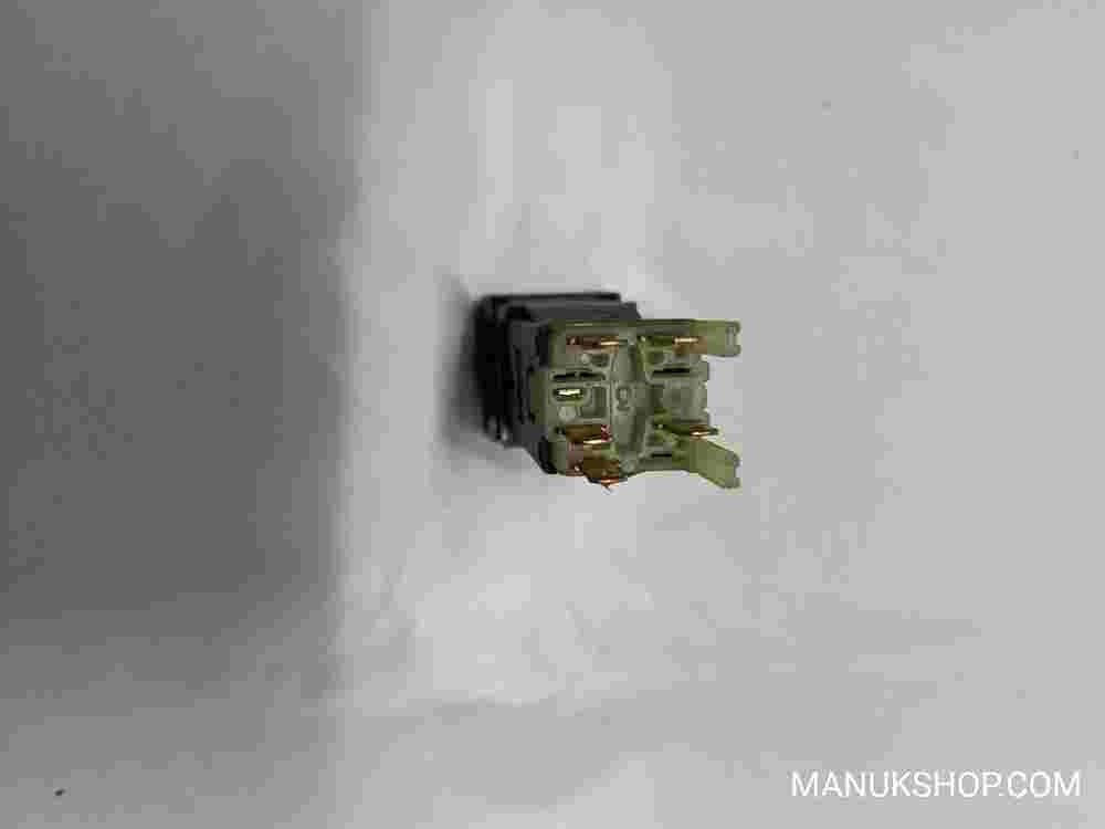 Interruptor Luneta Trasera Desempañador  Citroen Saxo